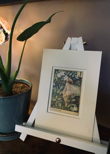 Original Flower Fairy prints by Cecil Mary Barker