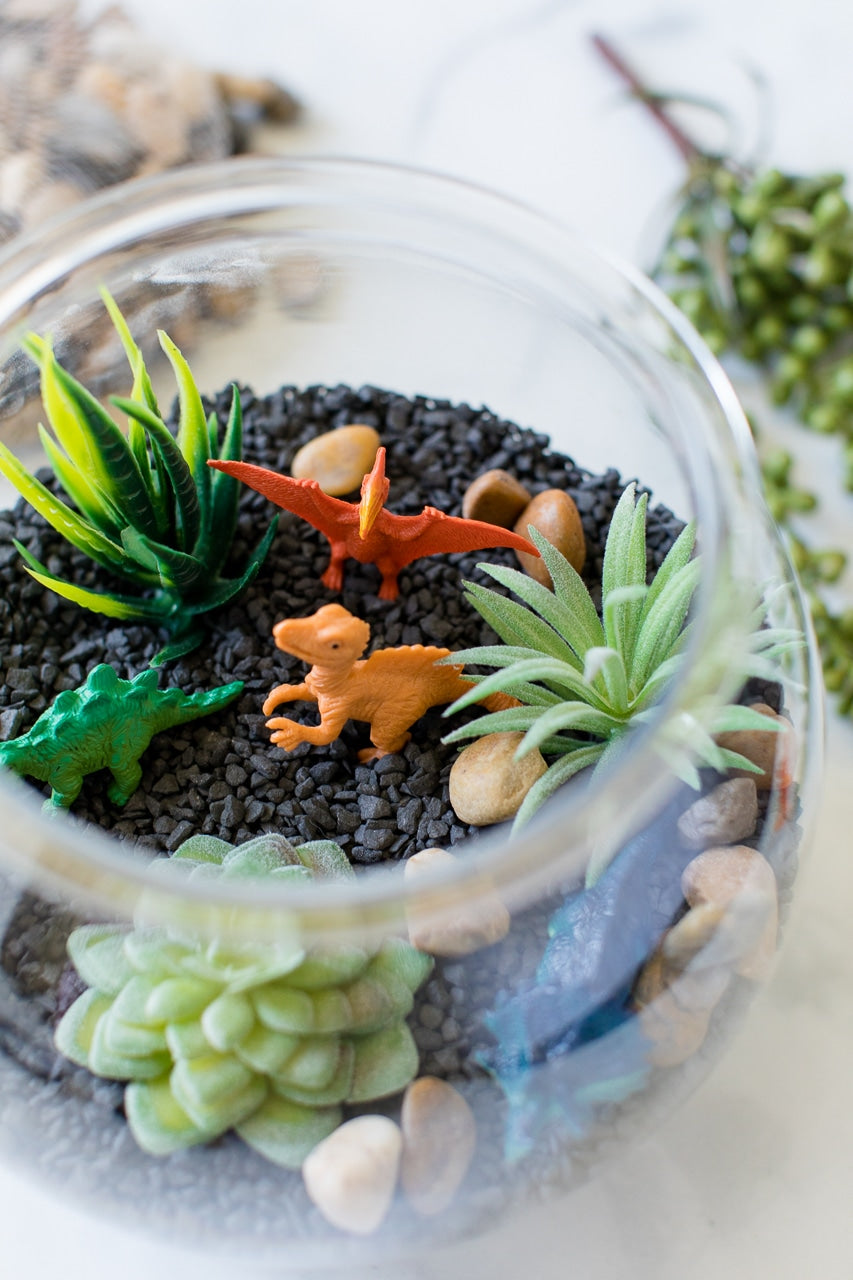 Sunday 26th May // Childrens’ Mini Terrarium Building