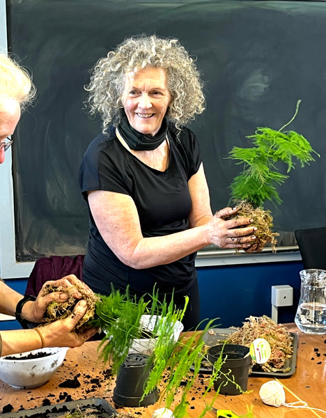 Newcastle // Kokedama Fundraiser