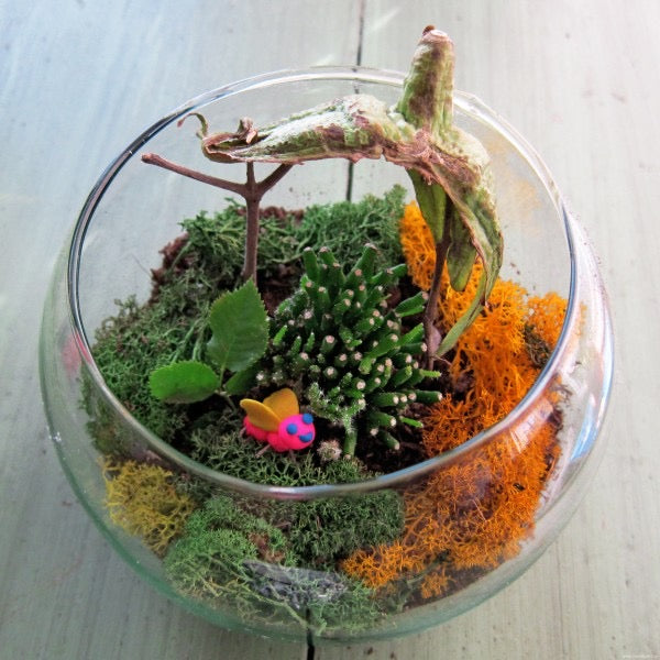 Sunday 26th May // Childrens’ Mini Terrarium Building