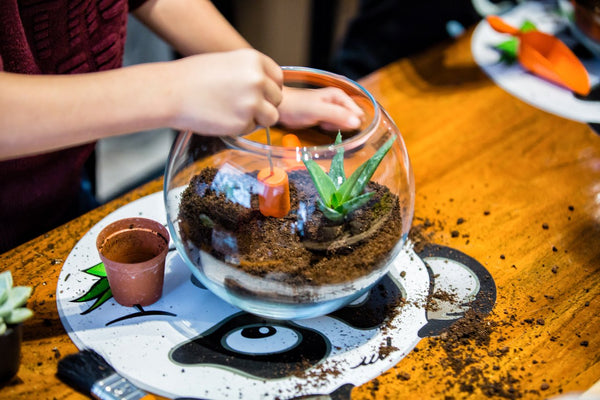 Sunday 26th May // Childrens’ Mini Terrarium Building