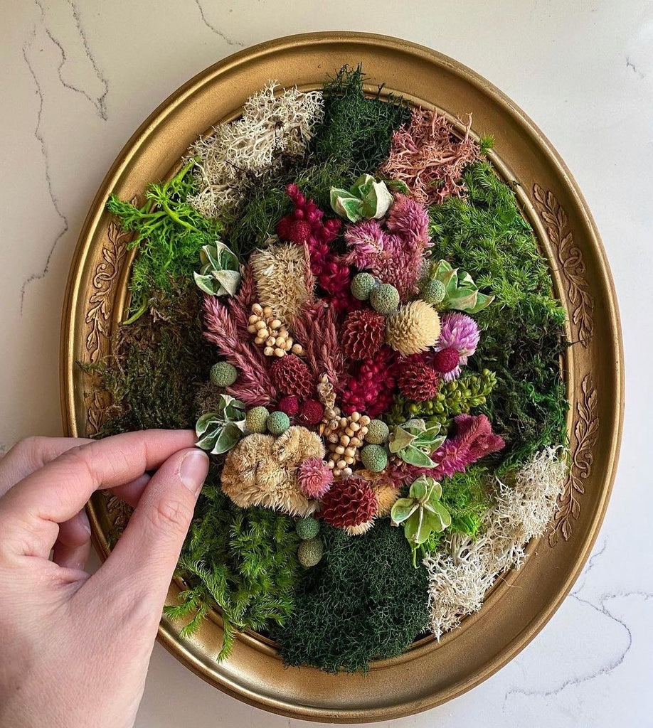 Dried Flower & Moss Art // Newcastle The Little Shop of Plants