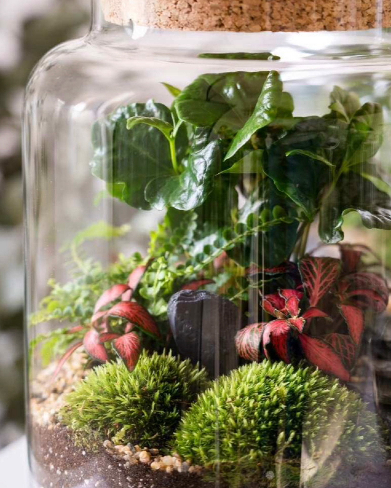 Terrarium Workshop // Banbridge