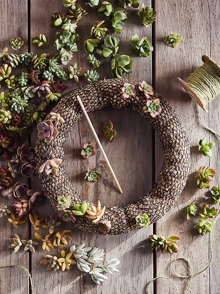 Newcastle // Succulent Wreath Workshop