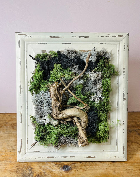 Dried Flower & Moss Art Workshops // Newcastle