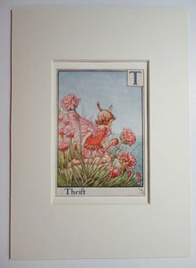 Alphabet Flower Fairy - T is for Thrift