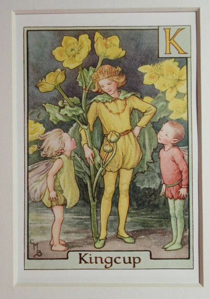 Alphabet Flower Fairy - K is for Kingcup