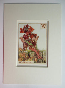 Alphabet Flower Fairy - W is for Wallflower