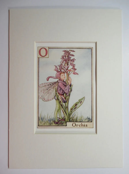 Alphabet Flower Fairy - O is for Orchis