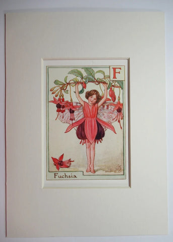Alphabet Flower Fairy - F is for Fuchsia