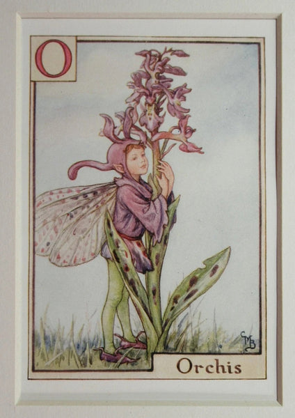 Alphabet Flower Fairy - O is for Orchis