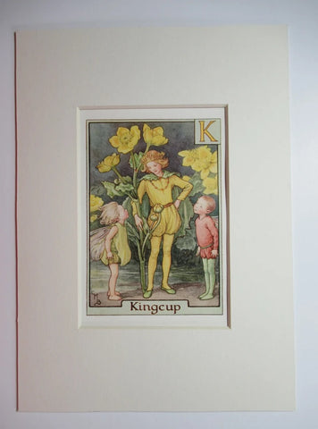 Alphabet Flower Fairy - K is for Kingcup