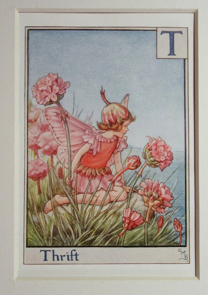 Alphabet Flower Fairy - T is for Thrift