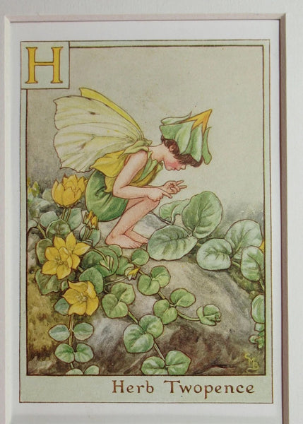 Alphabet Flower Fairy - H is for Herb Twopence