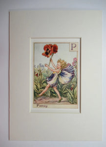 Alphabet Flower Fairy - P is for Pansy