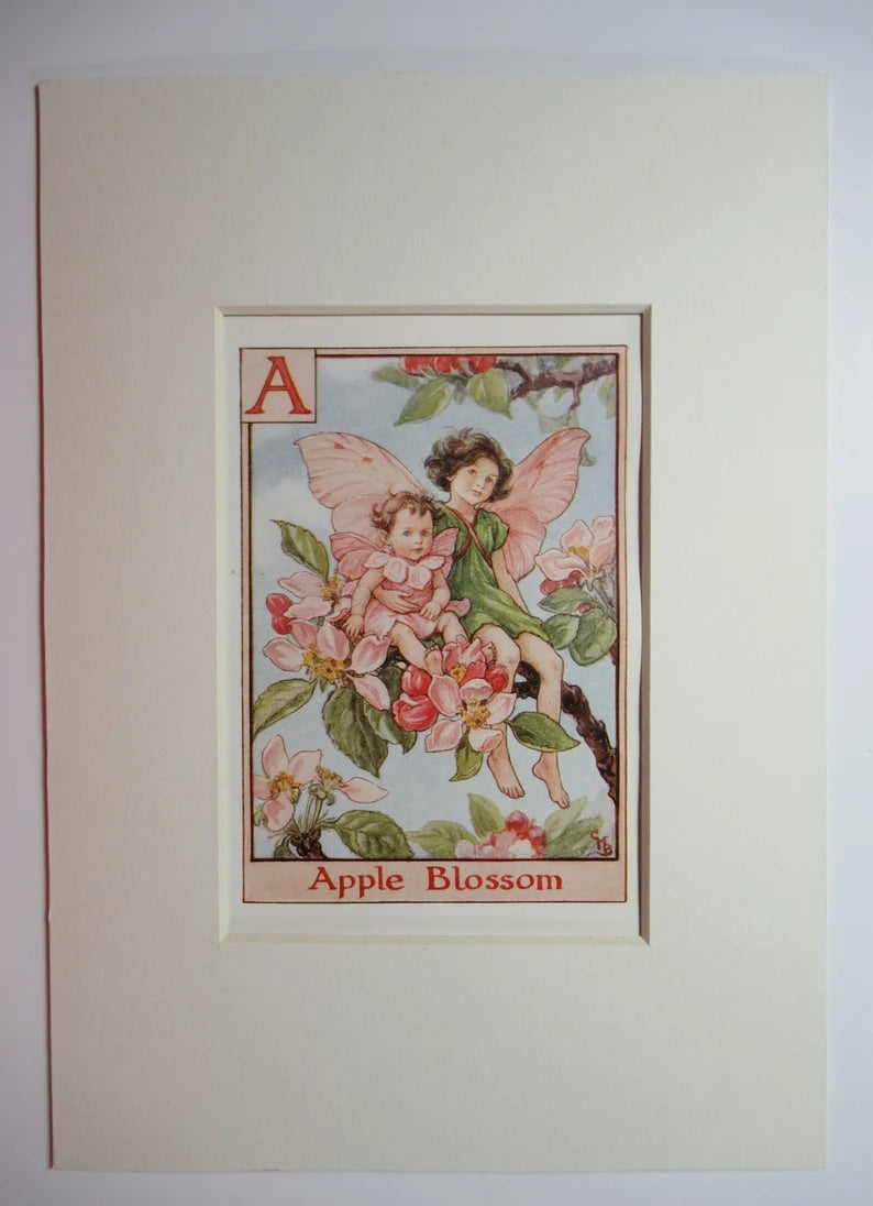 Alphabet Flower Fairy - A is for Apple Blossom