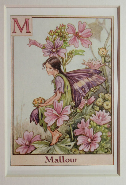 Alphabet Flower Fairy - M is for Mallow