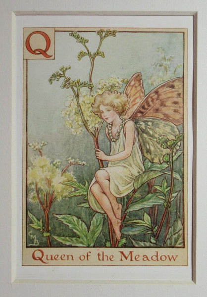 Alphabet Flower Fairy - Q is for Queen of the Meadow