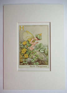 Alphabet Flower Fairy - H is for Herb Twopence