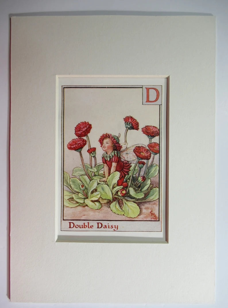 Alphabet Flower Fairy - D is for Double Daisy