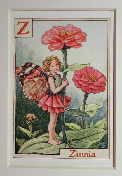 Alphabet Flower Fairy - Z is for Zinnia