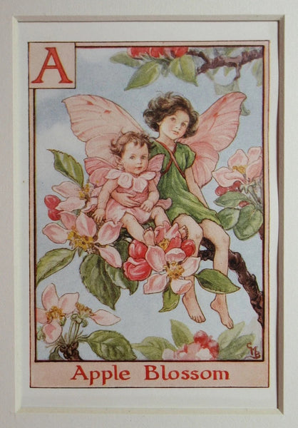 Alphabet Flower Fairy - A is for Apple Blossom