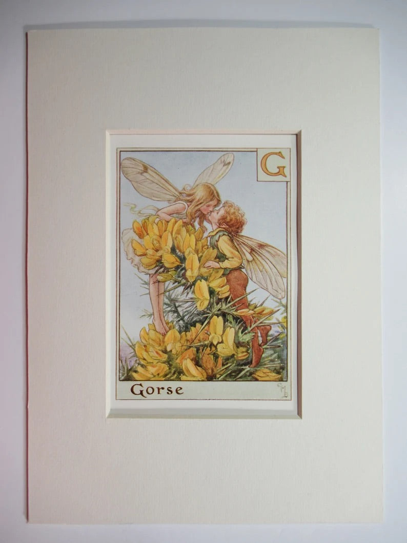 Alphabet Flower Fairy - G is for Gorse